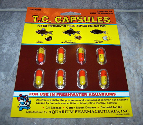 Tetracycline for fin rot tropical fish disease