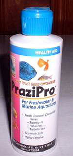 Prazipro for curing flukes tropical fish disease