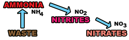 Nitrogen Cycle